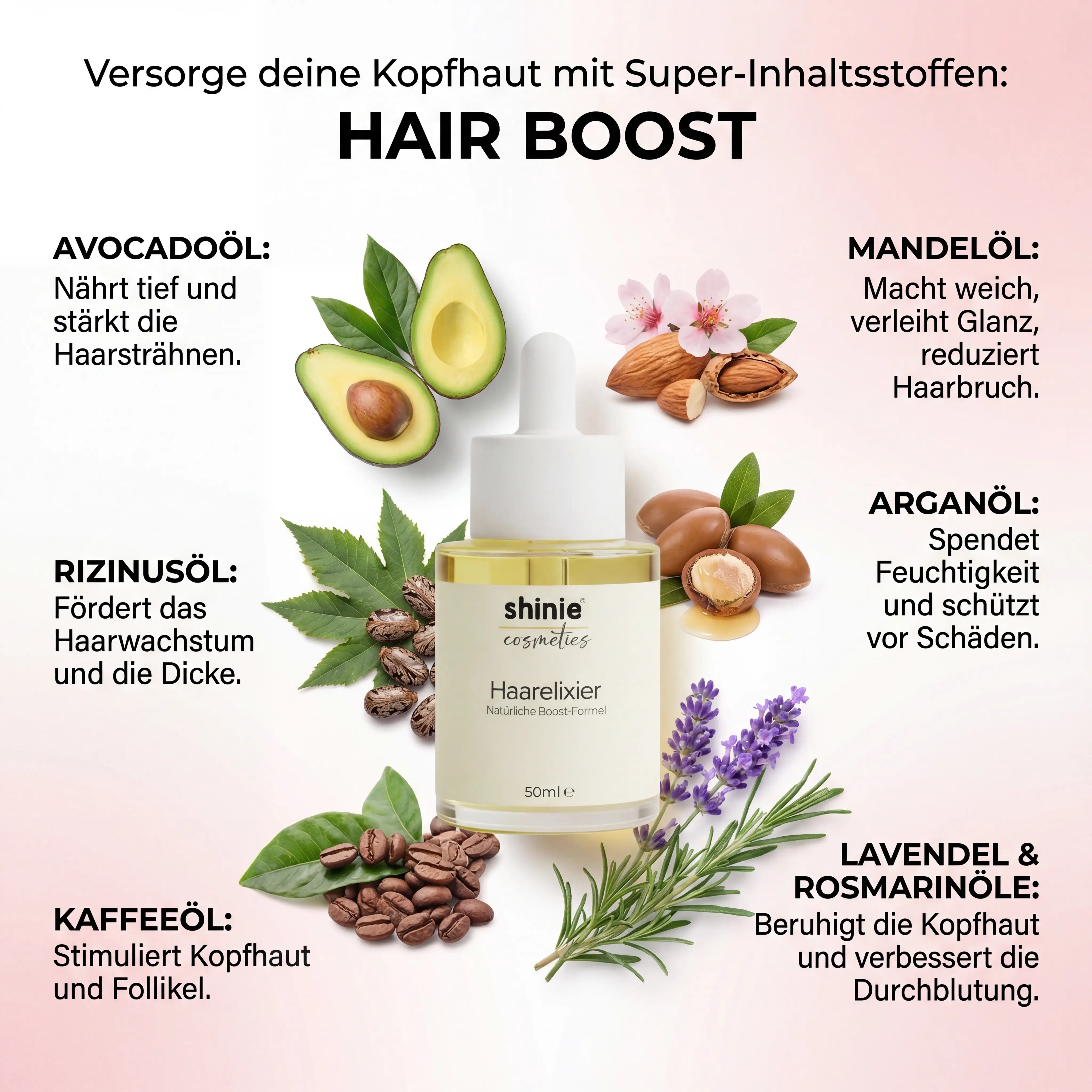 HairBoost Starterset shinie